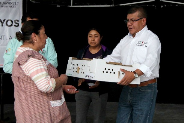 Entrega SEFOA paquetes de aves a familias de Huamantla