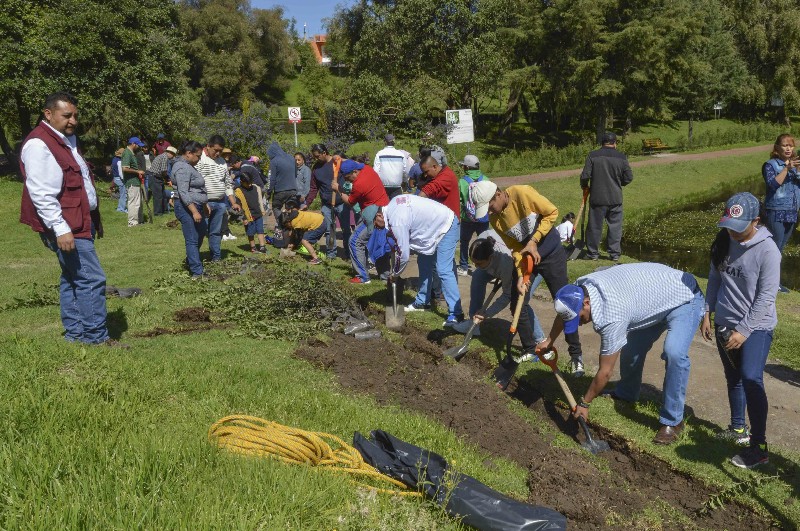 Registra programa estatal de reforestación 85 por ciento de avance CGE