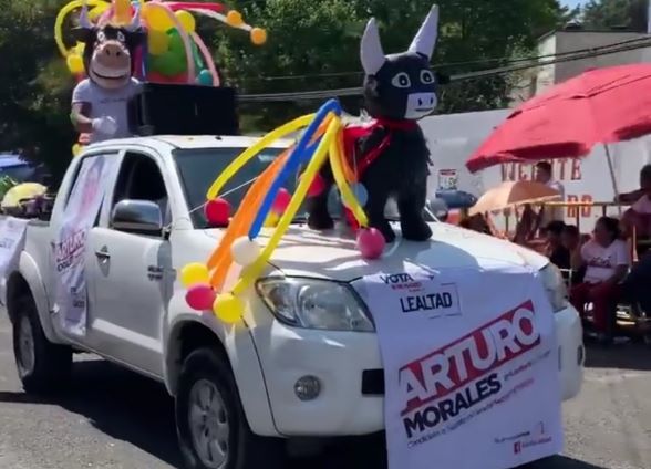 Presume ser torito y resulta ser “El Burrito del Magisterio”