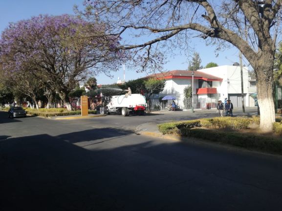 Da comuna capitalina mantenimiento a áreas verdes