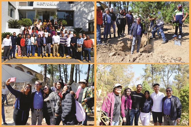 Mantiene UATx reforestación del campus Rectoría