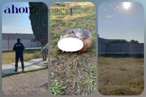 IMG_20230516_095917