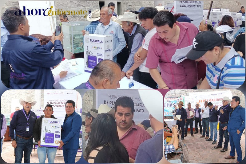Mapache morenista en la SIA, es Juez municipal y operador del Jr de la Peña