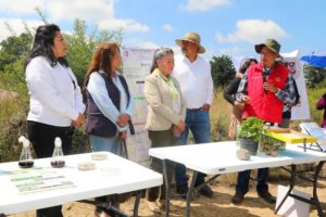 17 B Trabaja la UATx en rehabilitación ecológica de Tlaxcala