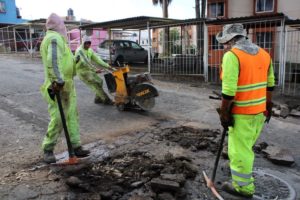 bacheo