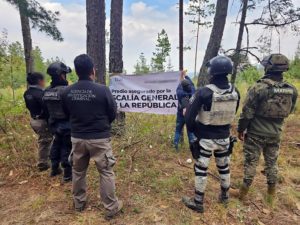 C1 TLAX - 1257 ORDEN DE CATEO EN BOSQUE AUTORIZADO