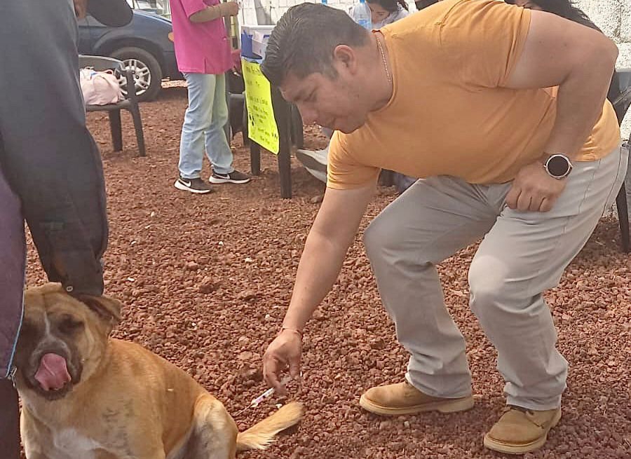 Campaña nacional de vacunación antirrábica en Zacatelco todo un éxito