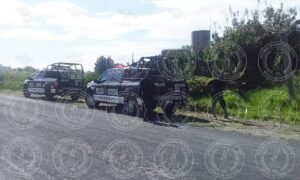 IMG-20240827-WA0013