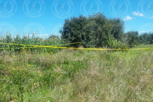 Tlaxcala no quiere perder récord Guinness y registra tres nuevas ejecuciones