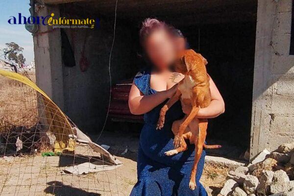 Rescata unidad canina de Huamantla a un perro en condiciones desfavorables