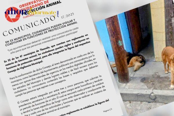 En 33 municipios, ciudadanos pueden vigilar y coadyuvar en funciones de protección animal