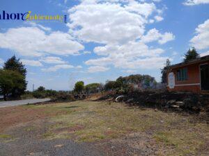 IMG-20250512-WA0033