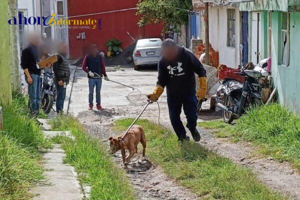 Llama ayuntamiento de Tlaxcala a la tenencia responsable de mascotas