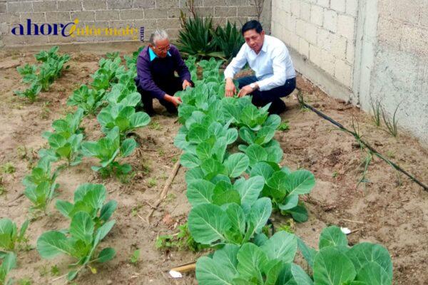 Con apoyo del Gobierno Municipal, familias chiautempenses desarrollan sus propios huertos