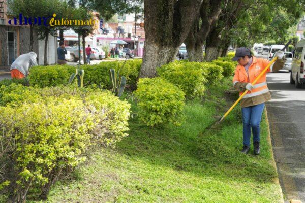 Mejora ayuntamiento de Tlaxcala imagen del bulevar Mariano Sánchez con brigada de servicios públicos
