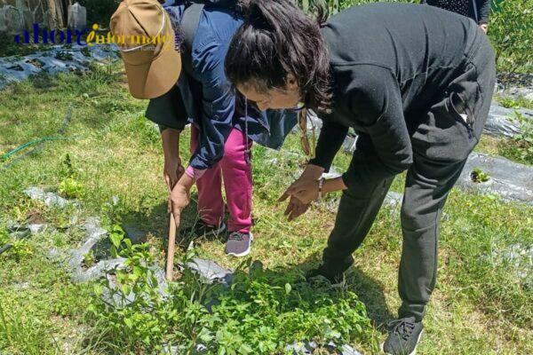 Mujeres que buscan empoderamiento económico inician curso “huertos familiares” con respaldo del ayuntamiento de Tlaxcala