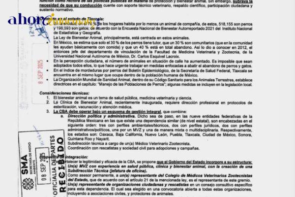 Necesario un liderazgo técnico y ciudadano en la coordinación de bienestar animal: OCPA