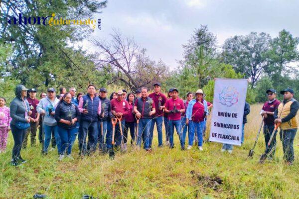 En jornada de reforestación en Chiautempan, son plantados más de 400 árboles de piñón
