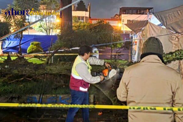 Protección Civil de Chiautempan atiende reporte de árbol caído por fuerte lluvia en Parque Hidalgo