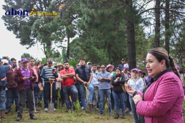 Reforestan en Chiautempan zona incendiada de la Malinche