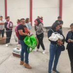 El próximo lunes inicia el Ayuntamiento de la capital nueva campaña de esterilización gratuita para perros y gatos