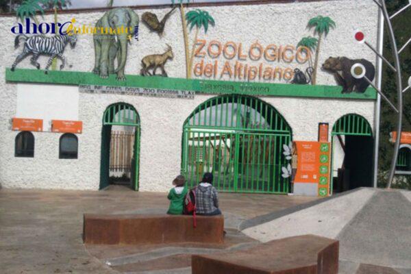 Garantizado el Bienestar y seguridad animal en el Zoológico del Altiplano