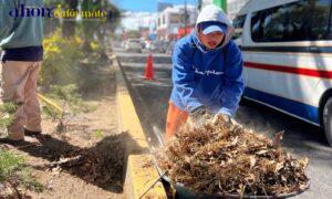 IMG-20260105-WA0001