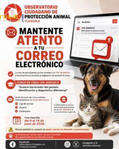 07d5eb92-f90e-4983-a06a-e03c06c3fe3a