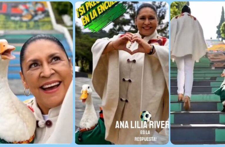 Ana Lilia Rivera se plagia imagen del Pato Merlín para ganar adeptos