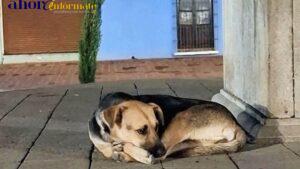 WhatsApp Image 2026-07-21 at 8.39.44 AM (1)